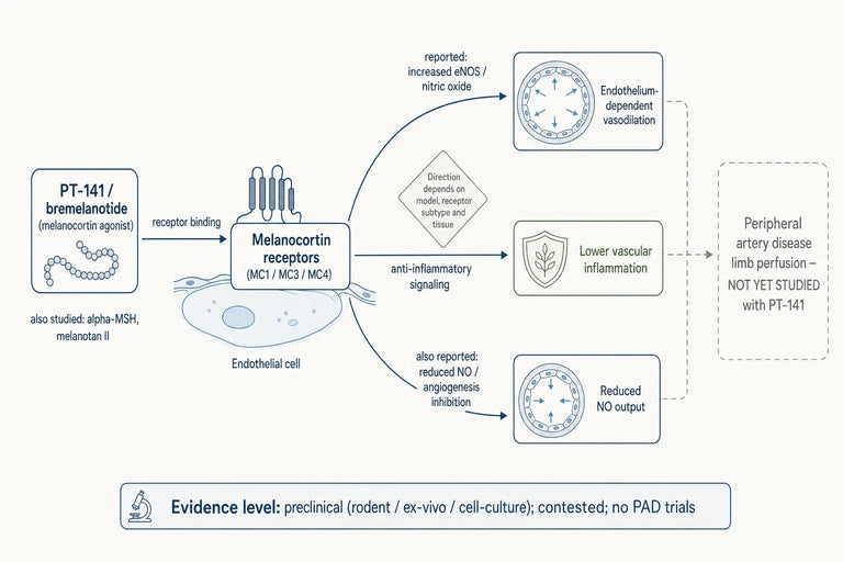 Can PT-141 Enhance Blood Flow in Peripheral Artery Disease (PAD)?