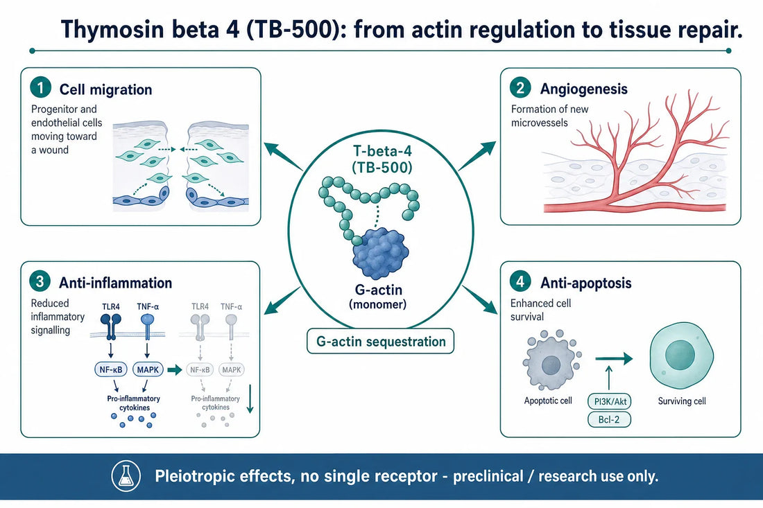 Qovigen research diagram