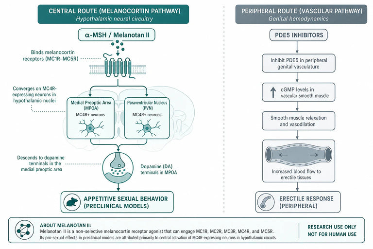 Could Melanotan II Play a Role in Treating Hypoactive Sexual Desire Disorder?