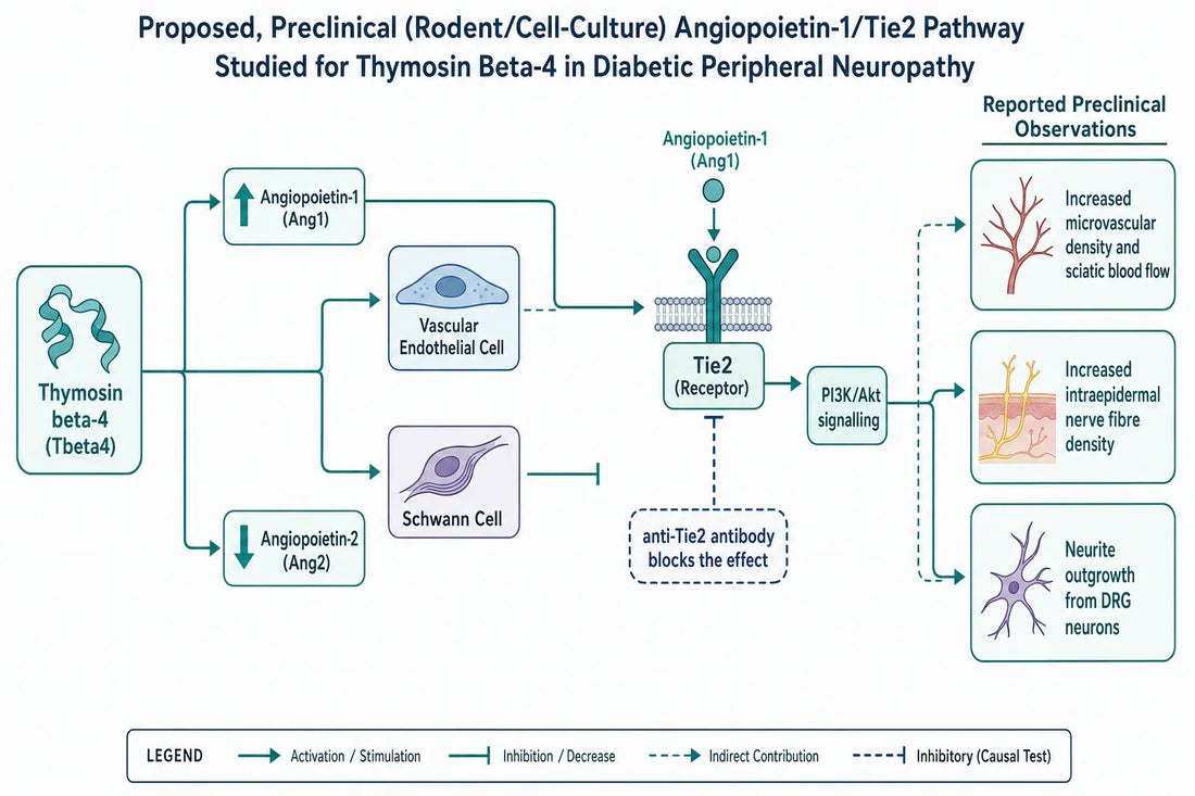 Qovigen research diagram