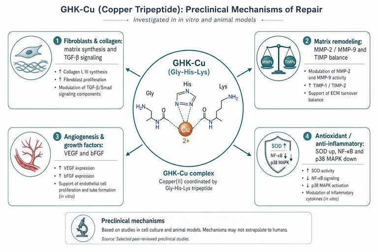 How Does GHK-Cu Influence Skin Regeneration and Wound Healing?