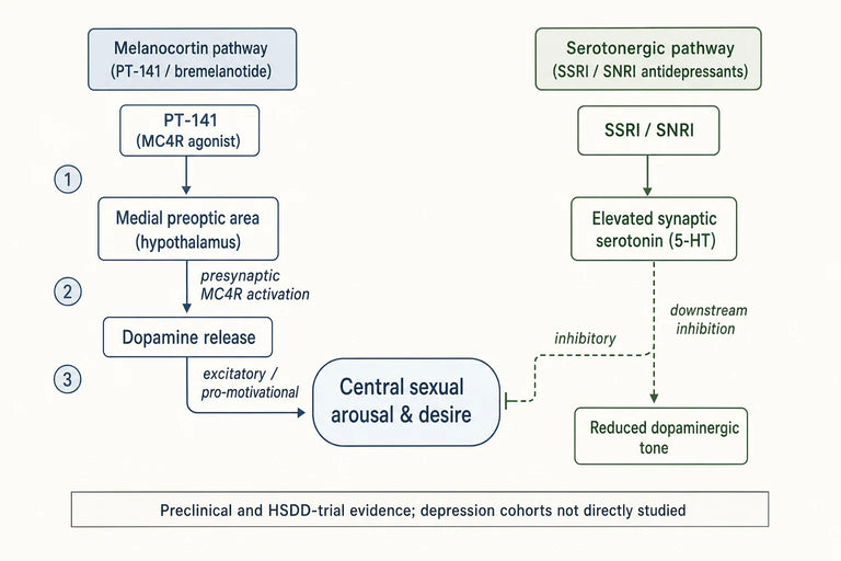 How does PT-141 address sexual dysfunction linked to depressive disorders?