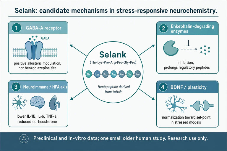 Mechanistic Basis of Selank-Associated Mood Stabilization Under Chronic Stress Conditions