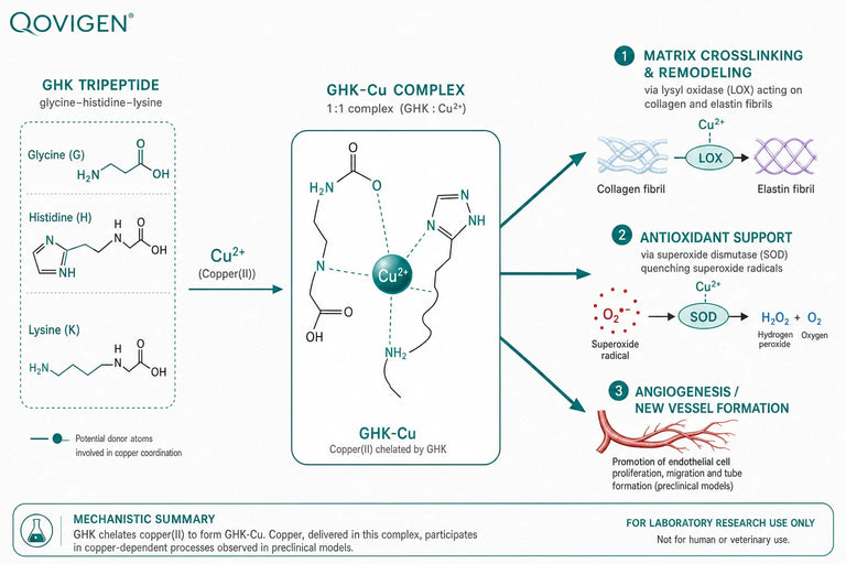 The Science Behind GHK-Cu’s Role in Wound Healing and Inflammation