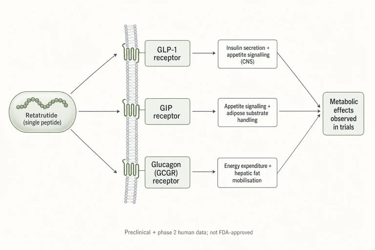 The Science Behind Retatrutide: A New Hope for Obesity and Diabetes