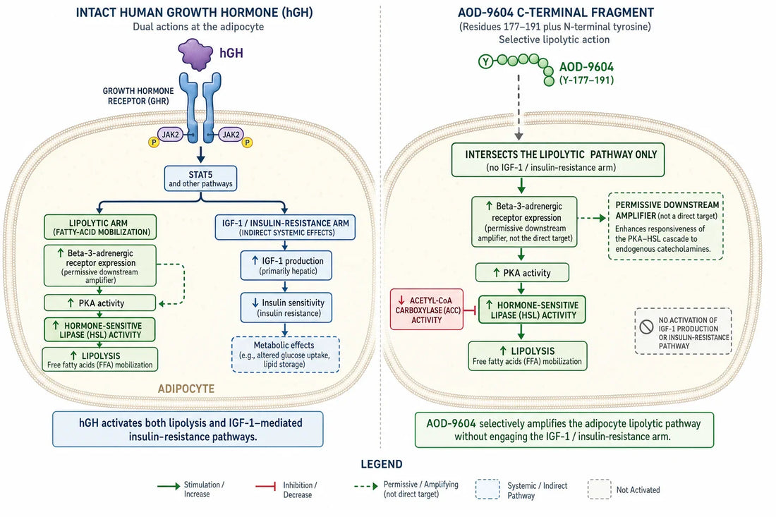 Qovigen research diagram