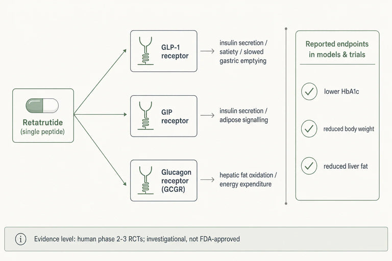 What Do Recent Clinical Findings Suggest About Retatrutide in Type 2 Diabetes Management?