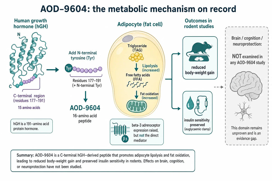 Qovigen research diagram