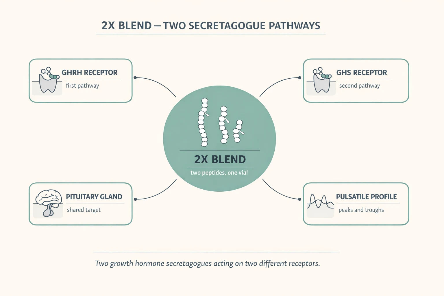 2X Blend Tesamorelin Ipamorelin research