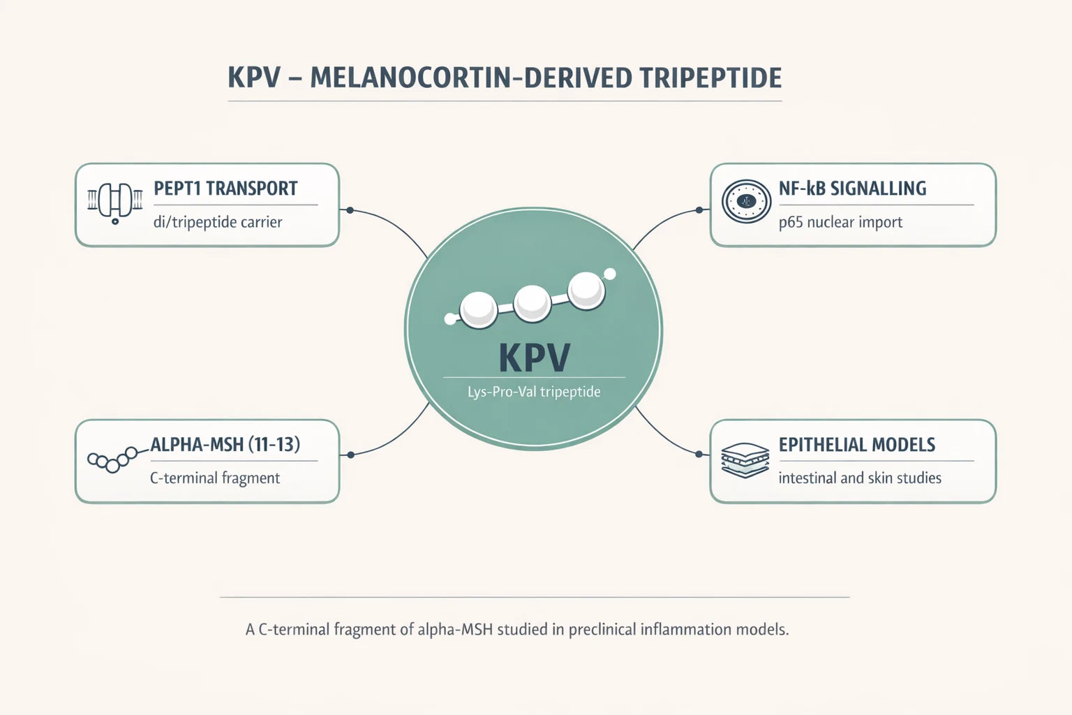 KPV melanocortin-derived tripeptide research