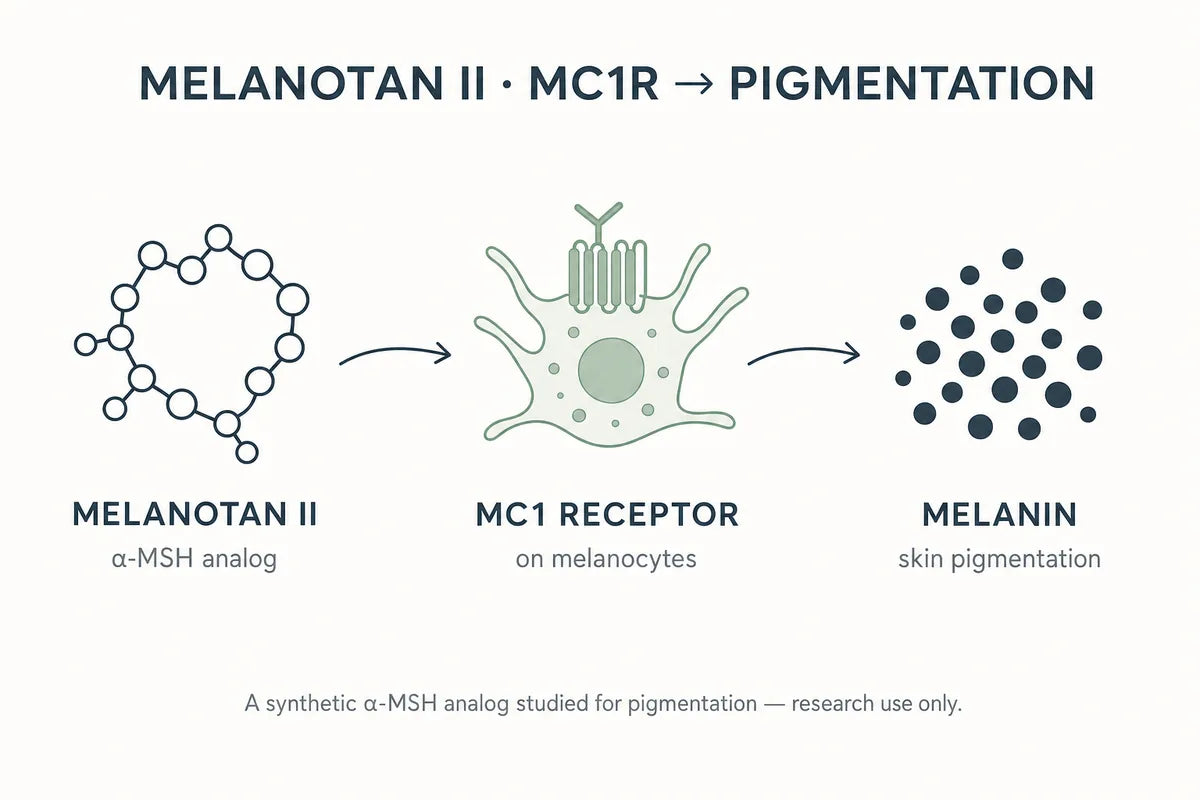Melanotan II Research Compound