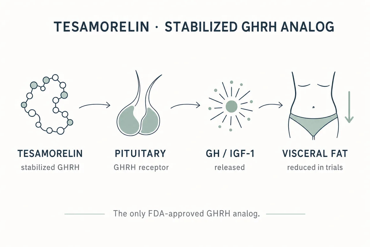 Tesamorelin GHRH Analog Research
